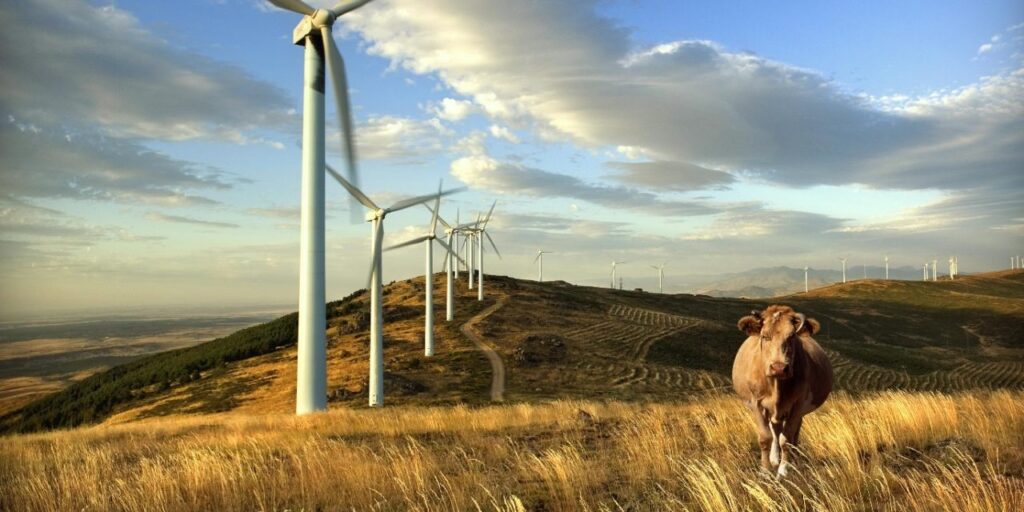 Uruguay da el ejemplo en la región cubriendo en un 98% sus necesidades de generación eléctrica con energías renovables