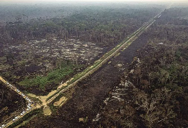 Choré perdió 210.000 hectáreas de bosques y crece amenaza de la coca