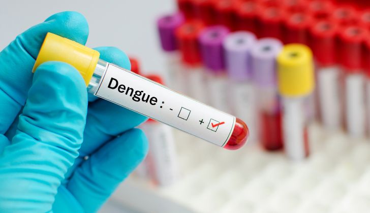 MSP investiga posible muerte por dengue: Hay 224 casos acumulados hasta el fin de semana