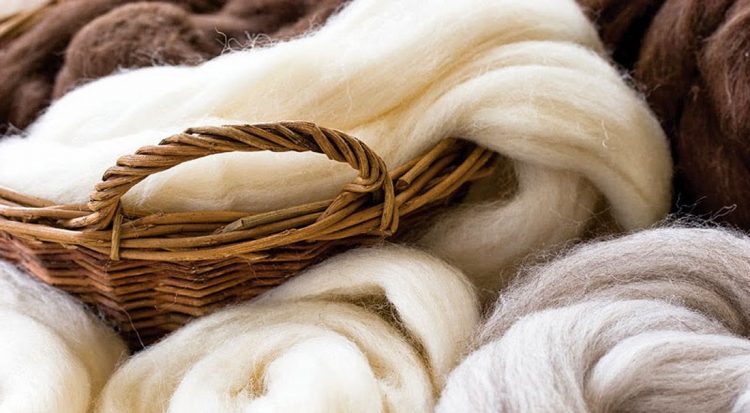 En el cierre de la semana el precio de la lana cayó 2,5% a US$ 7,53