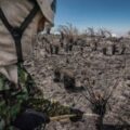 Fuerzas Militares de Colombia y países amigos ponen a prueba interoperabilidad contra incendios forestales