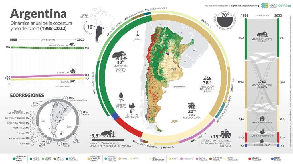 En 25 años, se perdieron 7,6 millones de hectáreas de vegetación natural, principalmente en el norte argentino
