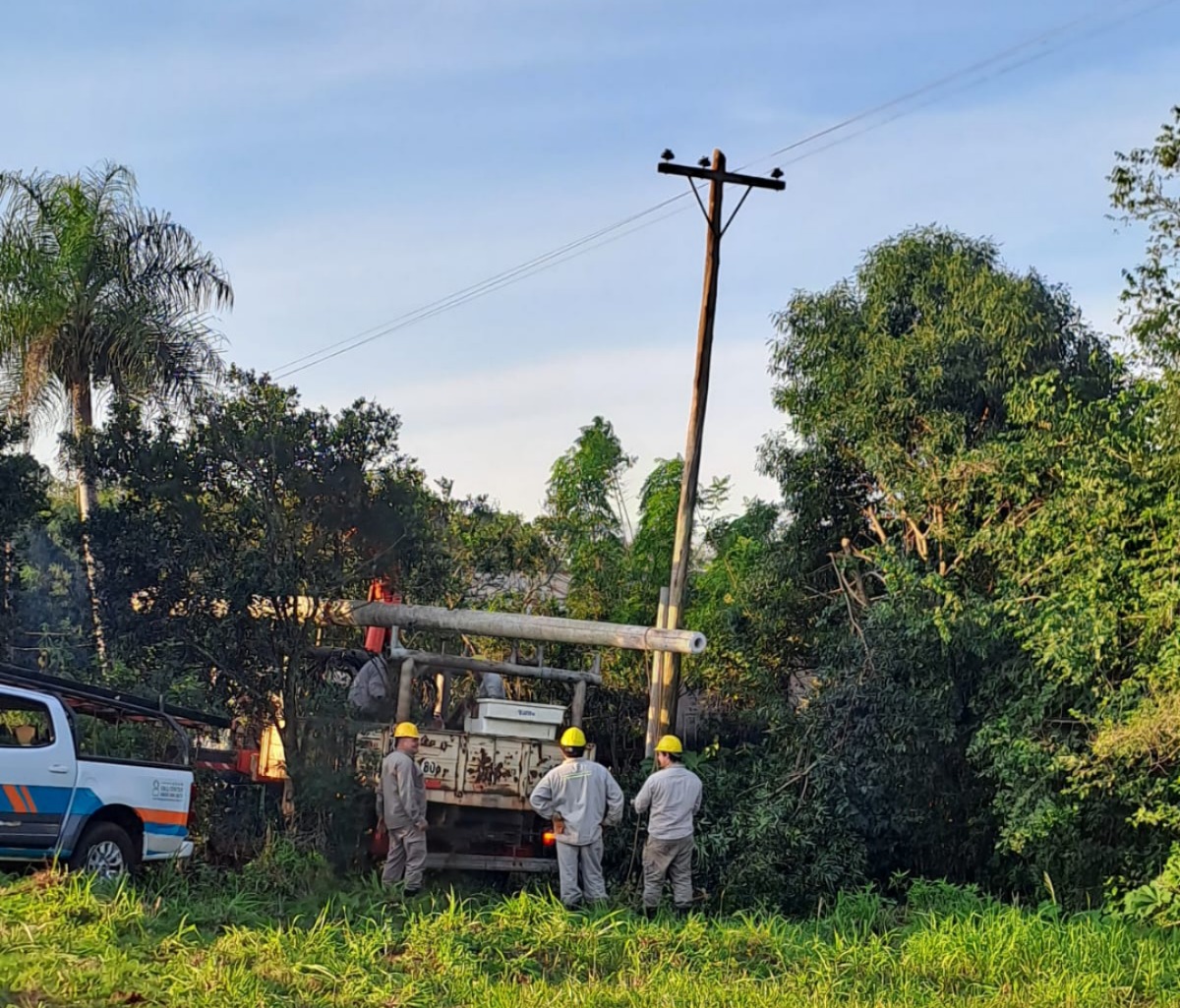 Energía de Misiones realiza acciones para optimizar el servicio en toda la Provincia