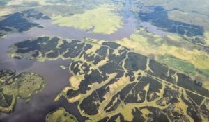 “El impacto de la forestación sobre la cuenca del río Negro es brutal”