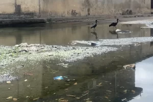 Servicio de aguas negras: el enemigo del municipio Bolivar en Sucre