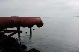 Derrames petroleros y basura contaminan la Costa Oriental del Lago