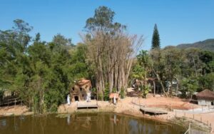 Parque das Aves será inaugurado em Miguel Pereira, no interior do Rio de Janeiro