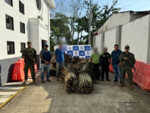 Colombia lucha contra deforestación