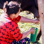 Mujeres rurales de Paraguay ganan protagonismo en el sector productivo