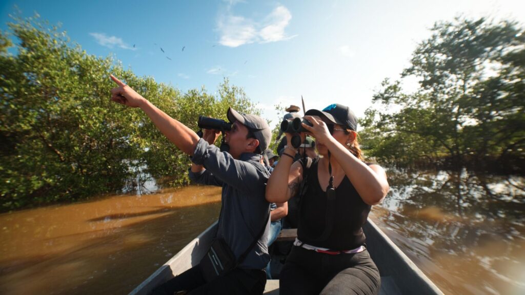 Colombia, líder mundial en avistamiento de aves: un paraíso para el aviturismo